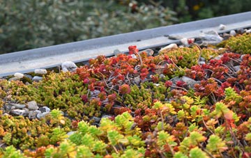 the cost of Maxwellheugh green roof installation