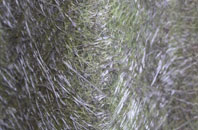 Maxwellheugh fibreglass roof work